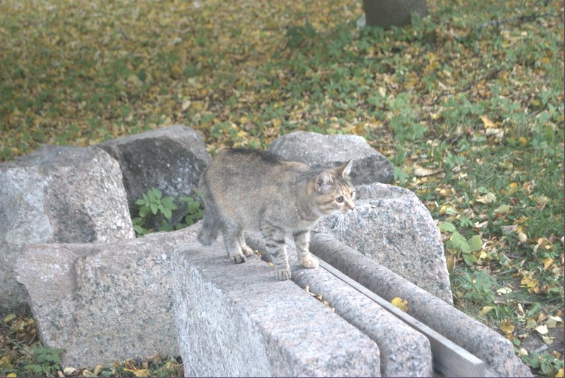 DSC_0114.jpg