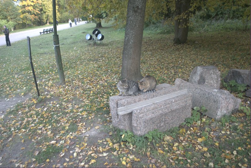 DSC_0123.jpg