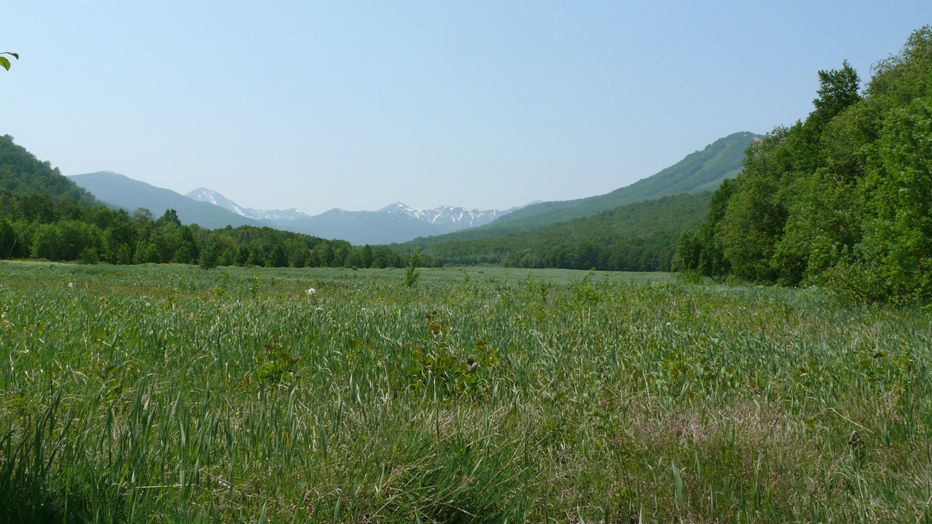 P1040090.JPG