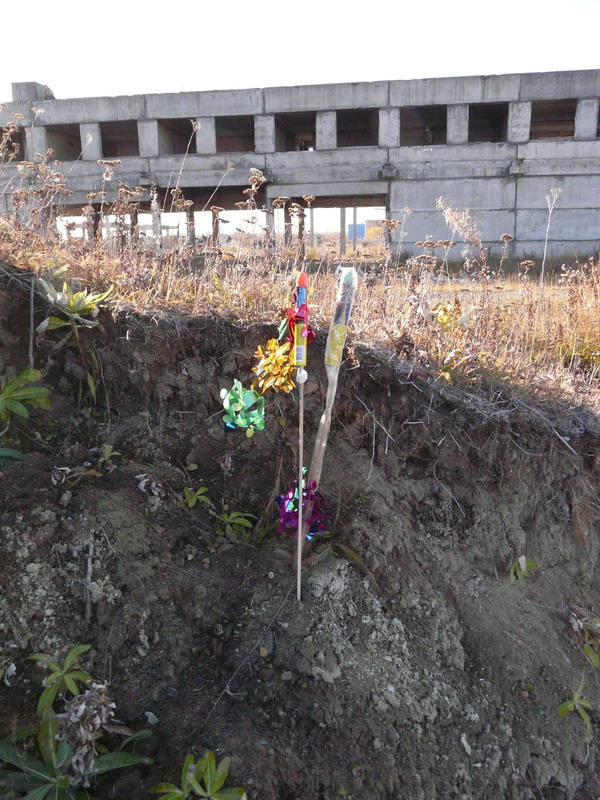 P1060242.jpg