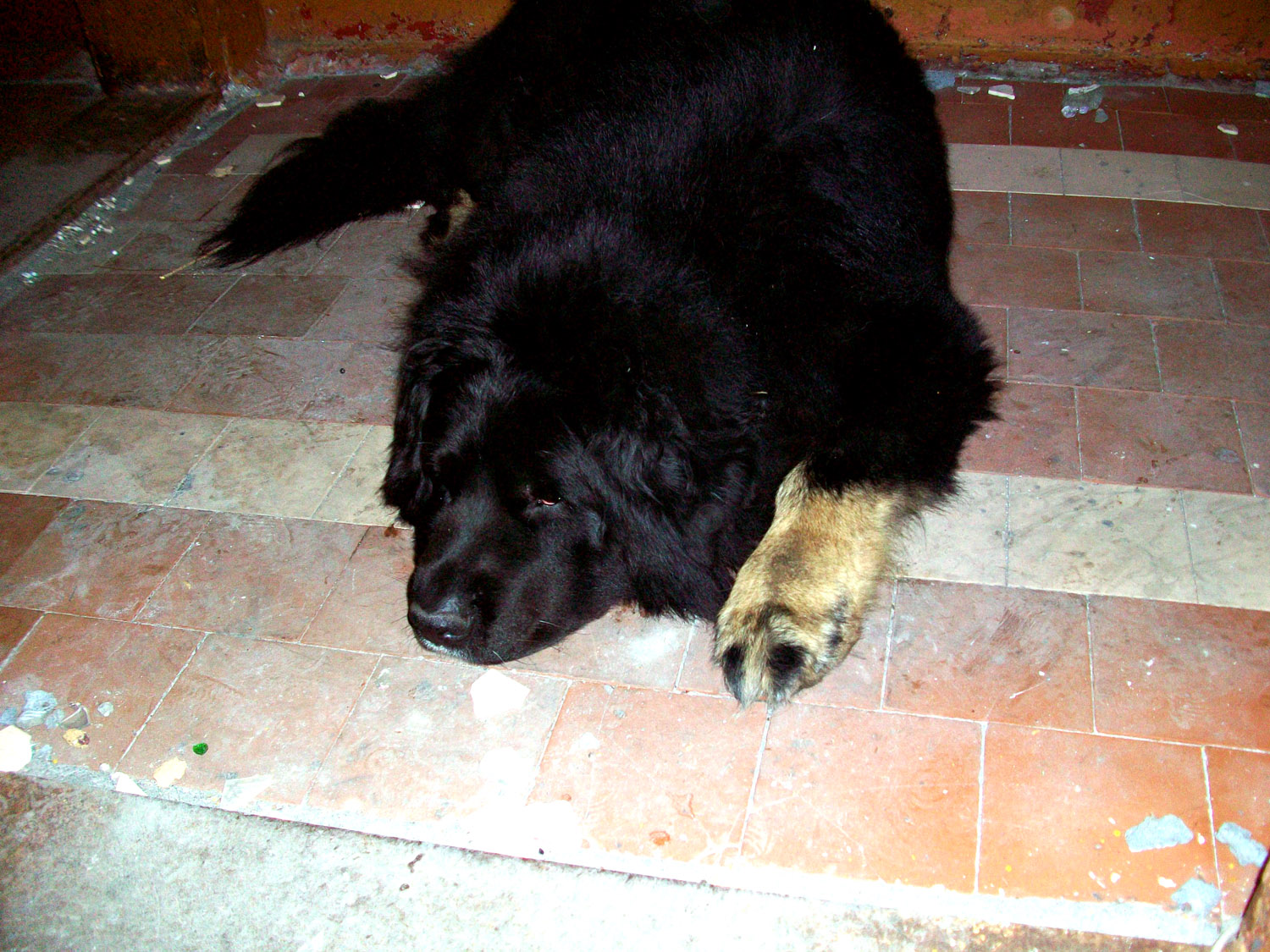 100_2023.jpg