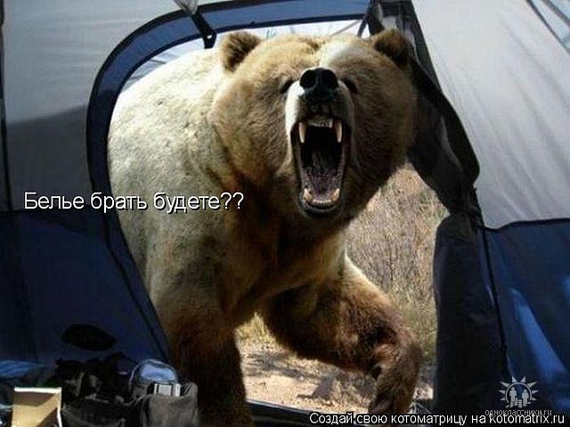 getIлдмдшлmage.jpeg