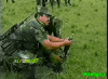 0_a2548_1a9288e2_S.gif