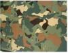 sexcamouflage.jpg